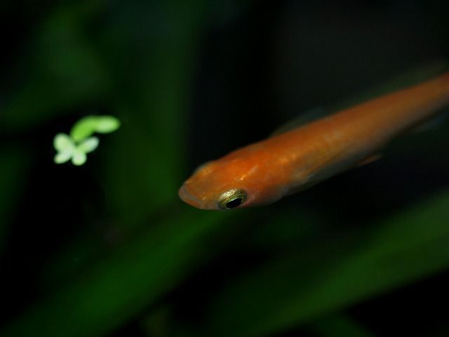 P9014553