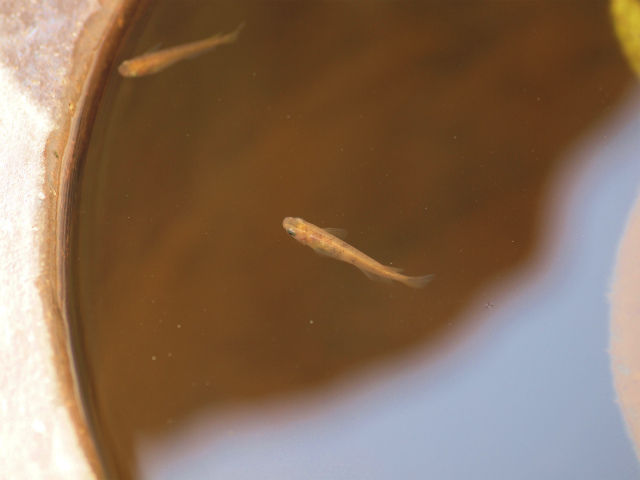 P1227123
