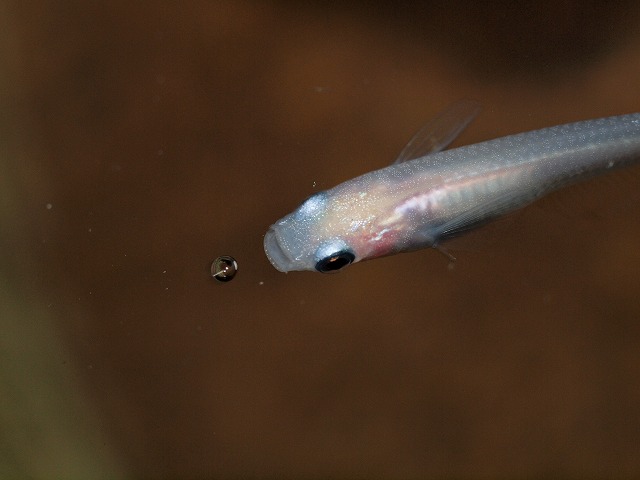 P5014943