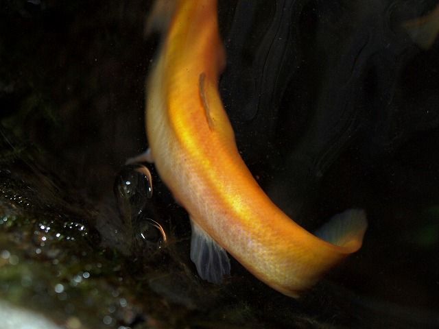 P6252979