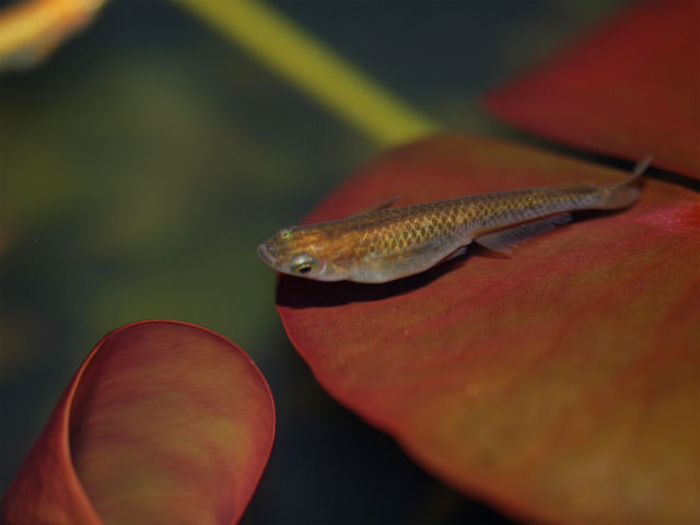 P5108996
