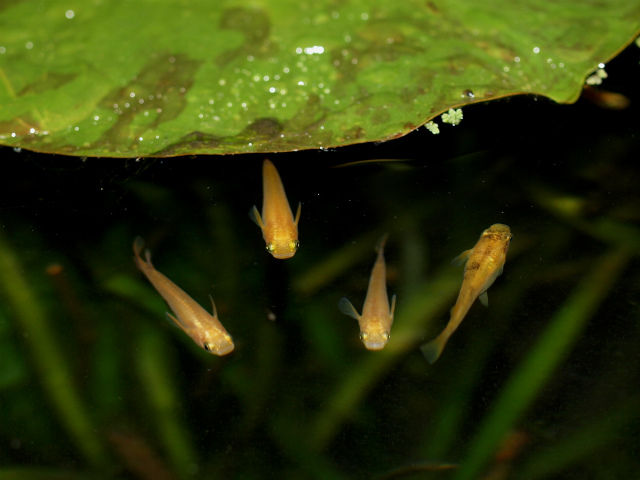 P5144972 (1)