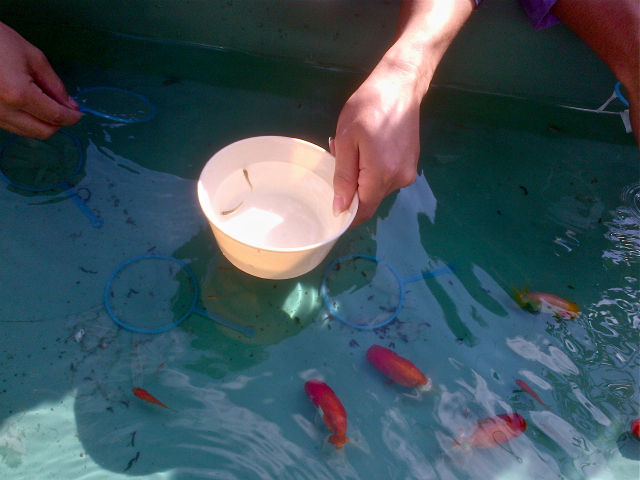 IMG-20121007-00029