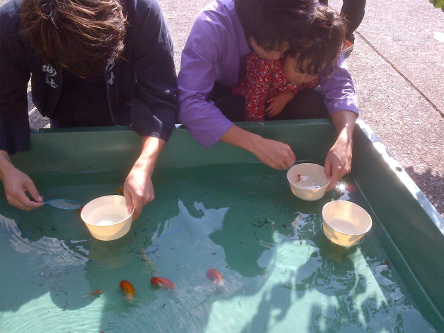 IMG-20121007-00027