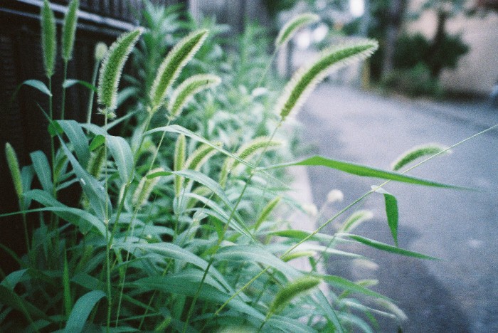 と