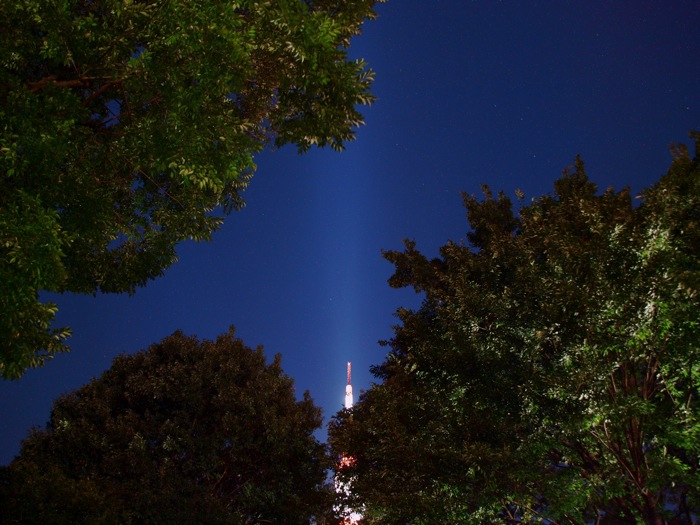 P7188580