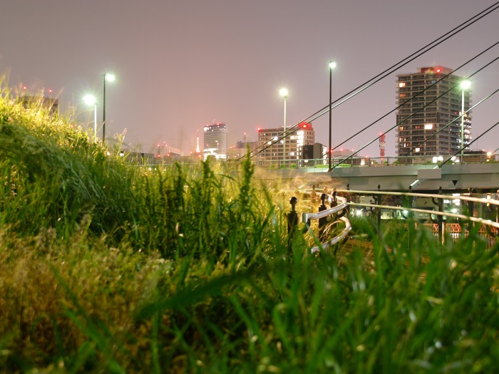 P5230369