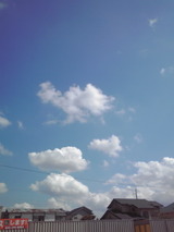98fcc3f6.jpg