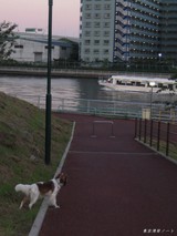 5d00493d.jpg