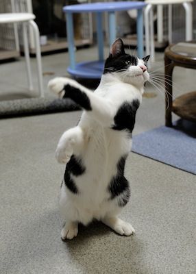 2859