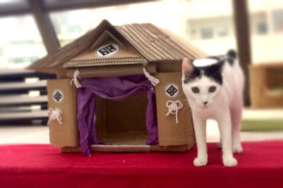 猫神社