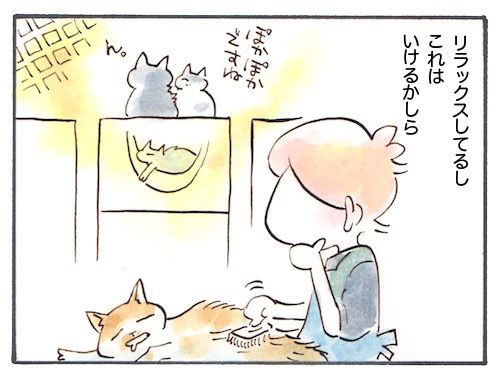 55-2