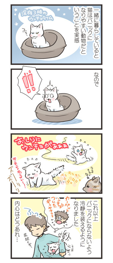 tcg-blog492