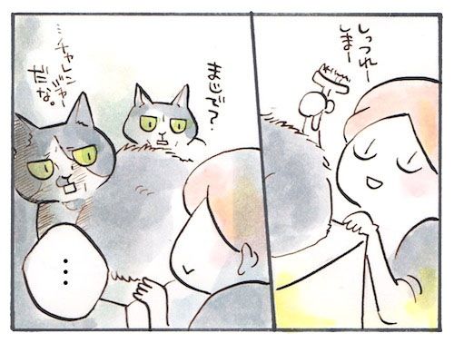 55-3