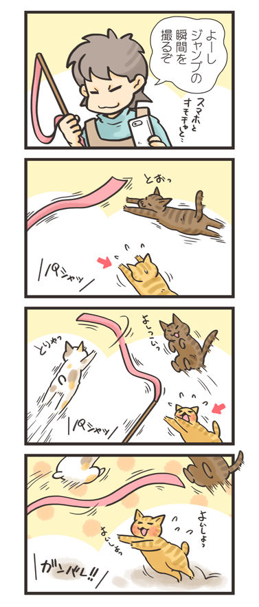 tcg-blog304