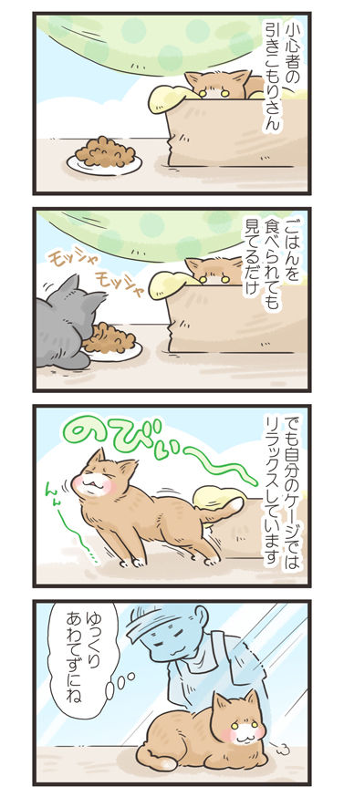 tcg-blog523