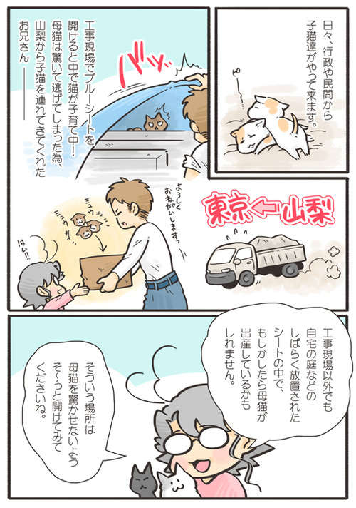 tcg-blog131
