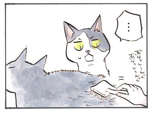56-1