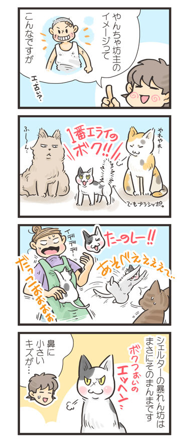 tcg-blog441