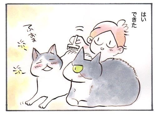 56-3