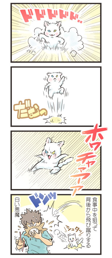 tcg-blog556