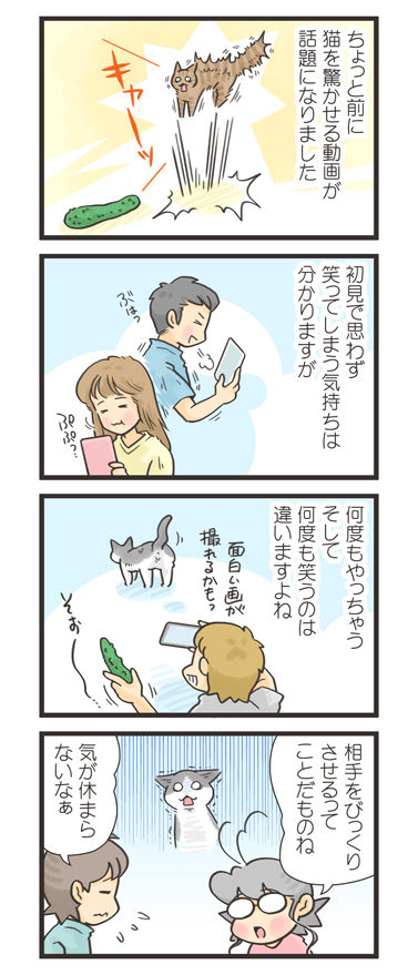 tcg-blog524