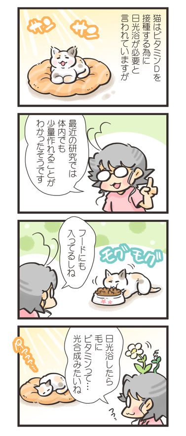 tcg-blog242