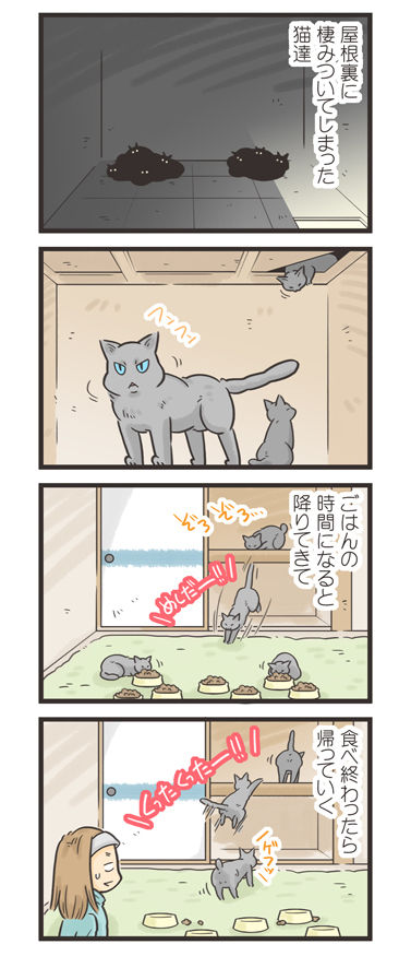 tcg-blog488