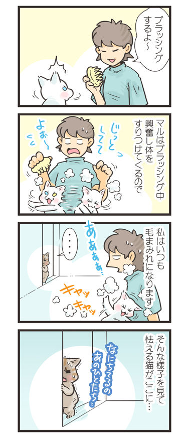 tcg-blog520
