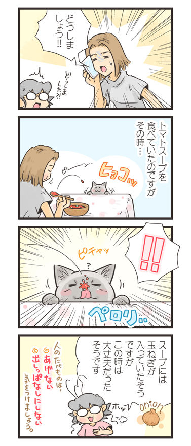 tcg-blog538