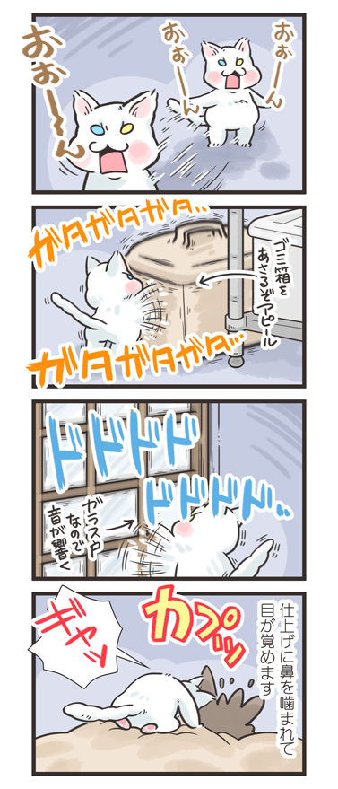 tcg-blog428