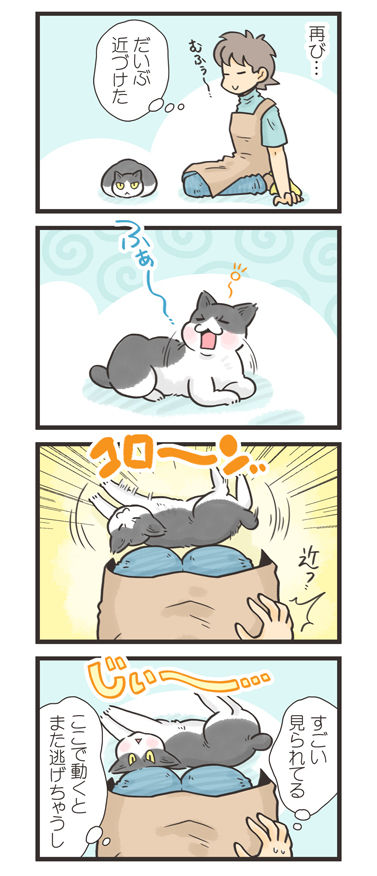 tcg-blog474
