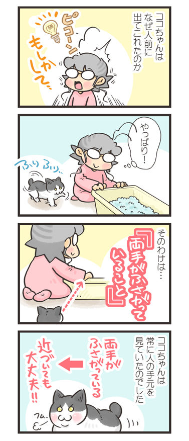 tcg-blog453