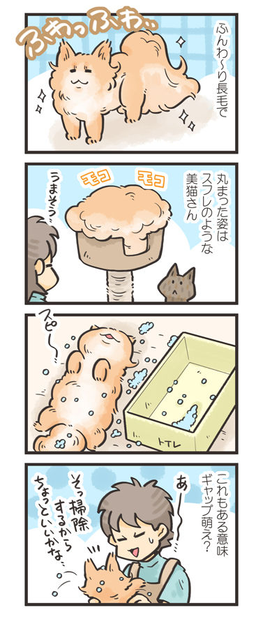 tcg-blog243