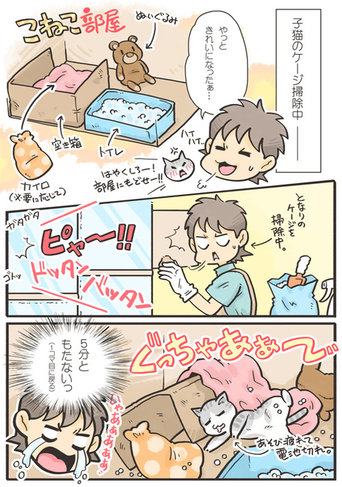 tcg-blog75