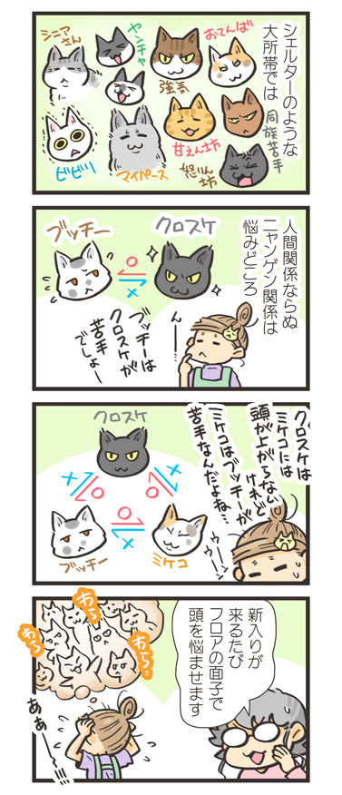 tcg-blog271