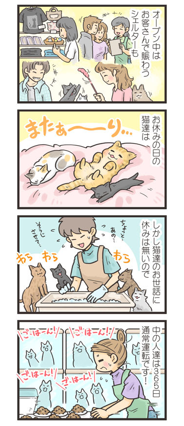 tcg-blog481