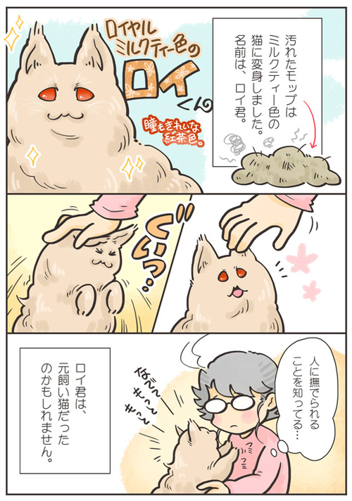 tcg-blog65