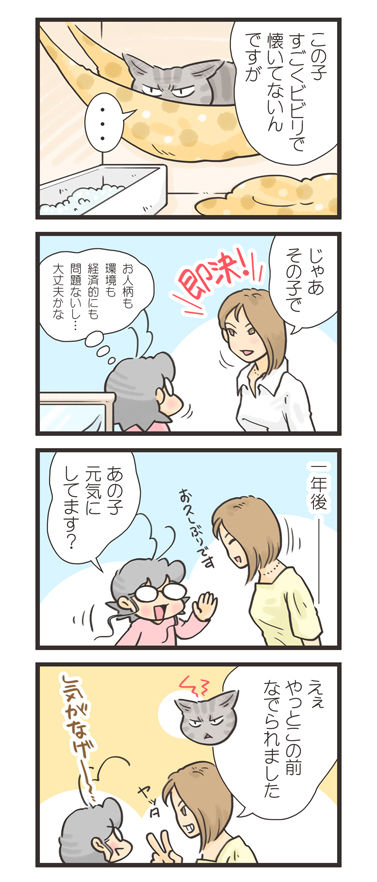 tcg-blog419