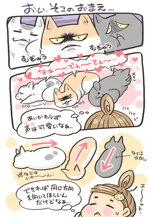 tcg-blog16