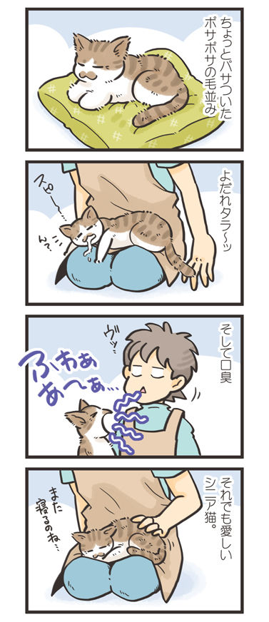 tcg-blog166