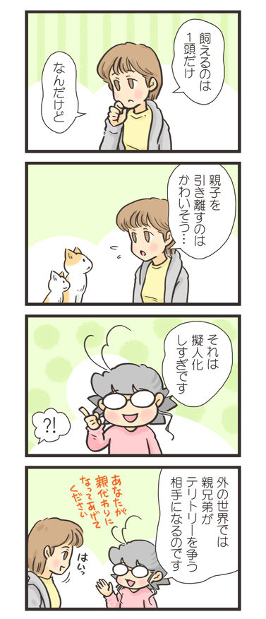 tcg-blog413