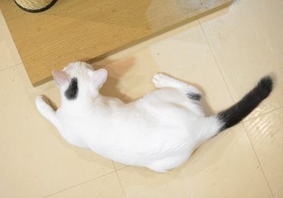 20121030_4