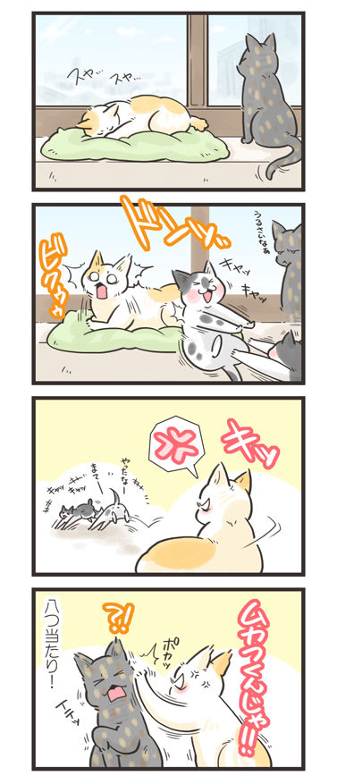 tcg-blog448
