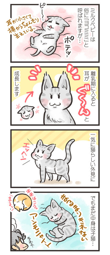 tcg-blog187