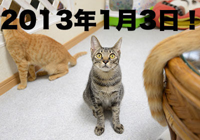 20121209_4