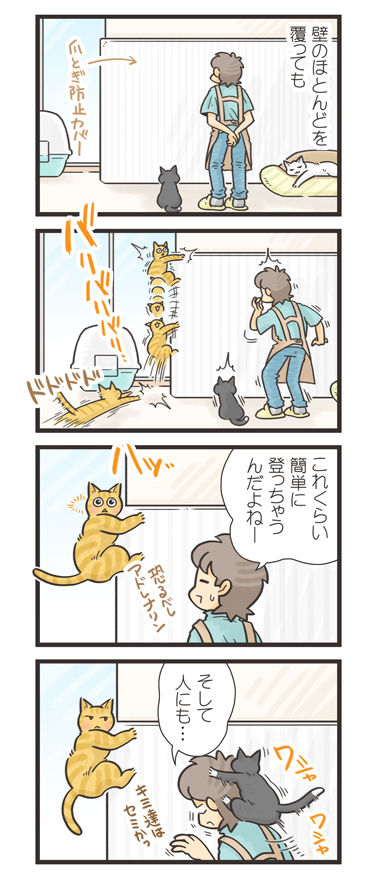 tcg-blog563