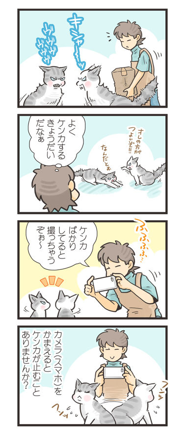 tcg-blog479