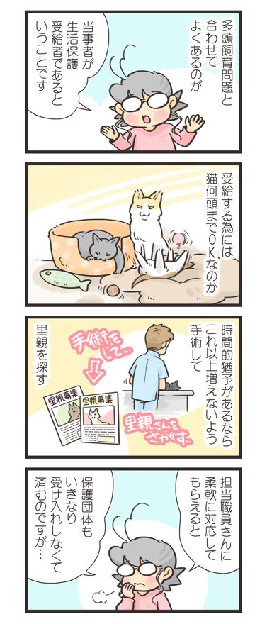 tcg-blog443