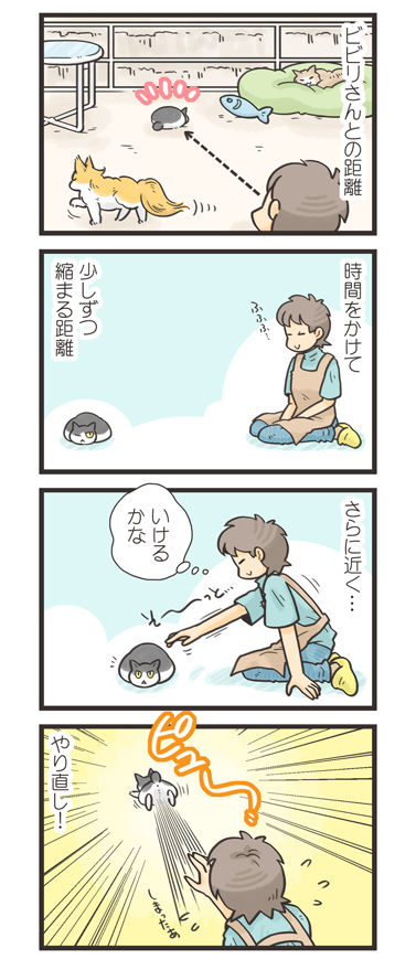 tcg-blog473
